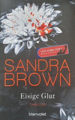 Sandra Brown - Eisige Glut